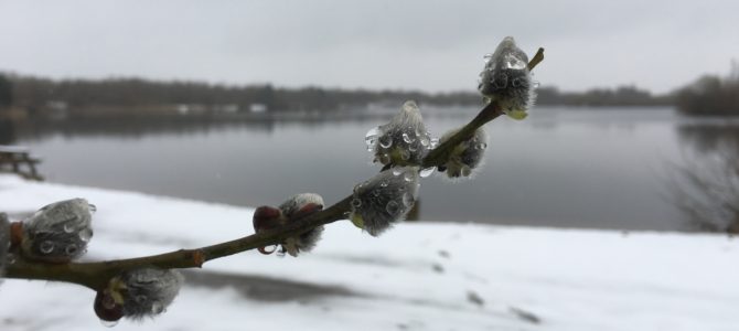 29-03-2018 – Mjøls Lystfiskeri – Isfri….. 29-03-2018 – Mjøls Lystfiskeri – Isfri…..