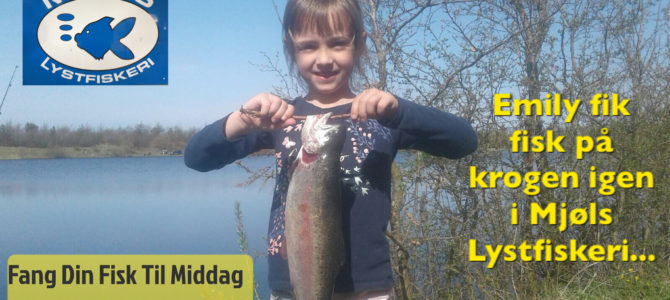 Mjøls Lystfiskeri – Fint vejr og en flot regnbueørred Mjøls Lystfiskeri – Fint vejr og en flot regnbueørred
