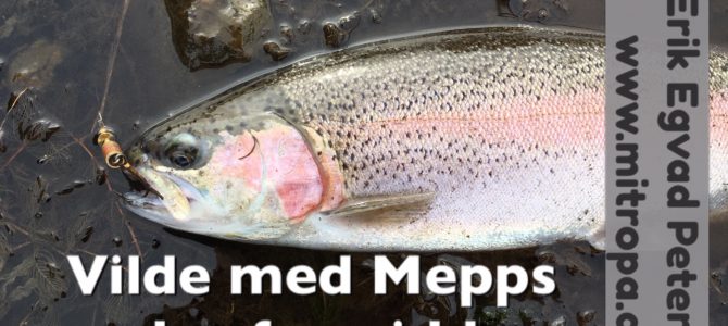 SE VIDEO – Mjøls Lystfiskeri: SØ1 søndag formiddag – de er vilde med Mepps….