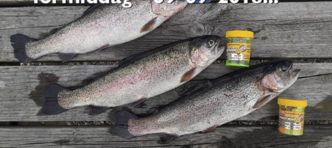 Mjøs Lystfiskeri – SØ1 – mandag huggede de på PowerBait