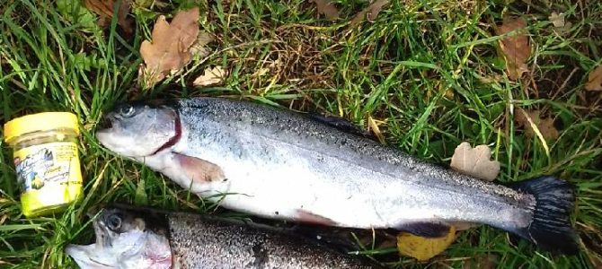 – De tager PowerBait`en i dag…..