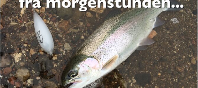 SE VIDEO – I dag ville de kun have PowerBait…. SE VIDEO – I dag ville de kun have PowerBait….