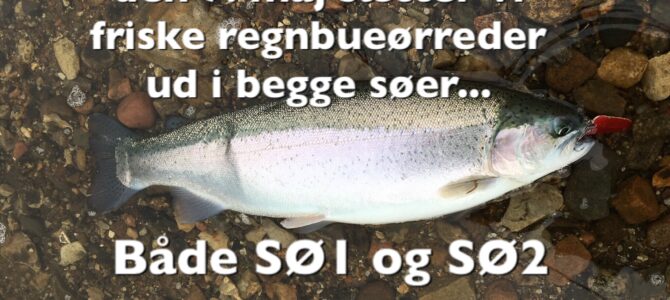 SE VIDEO – Mjøls Lystfiskeri: Friske fisk i begge søer