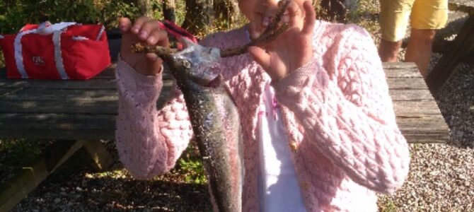 Mjøls Lystfiskeri – De fanger også fisk når solen skinner