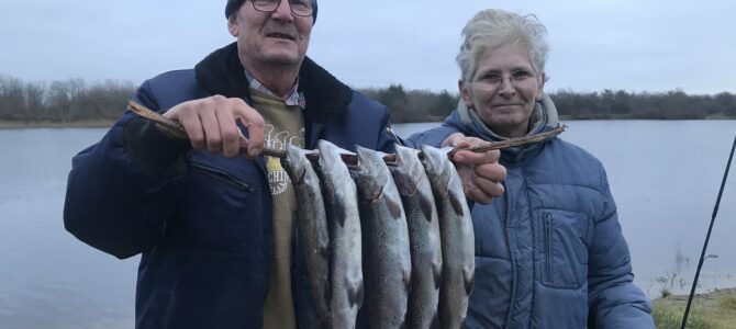 Mjøls Lystfiskeri – Full House i dag Mjøls Lystfiskeri – Full House i dag