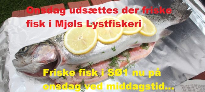 – Vi sætter friske fisk ud i Mjøls på onsdag….