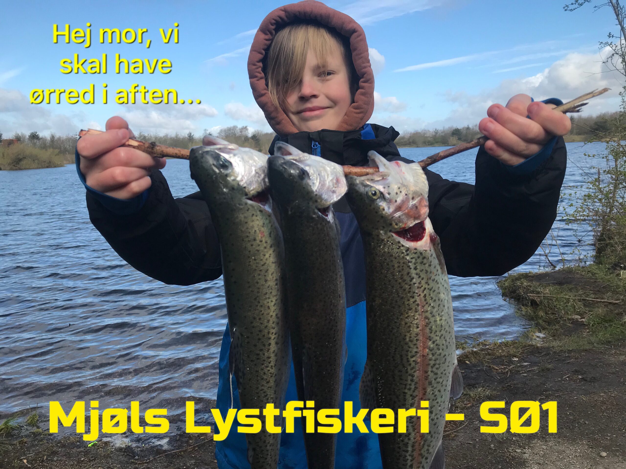 Mjøls Lystfiskeri: Full House torsdag formiddag