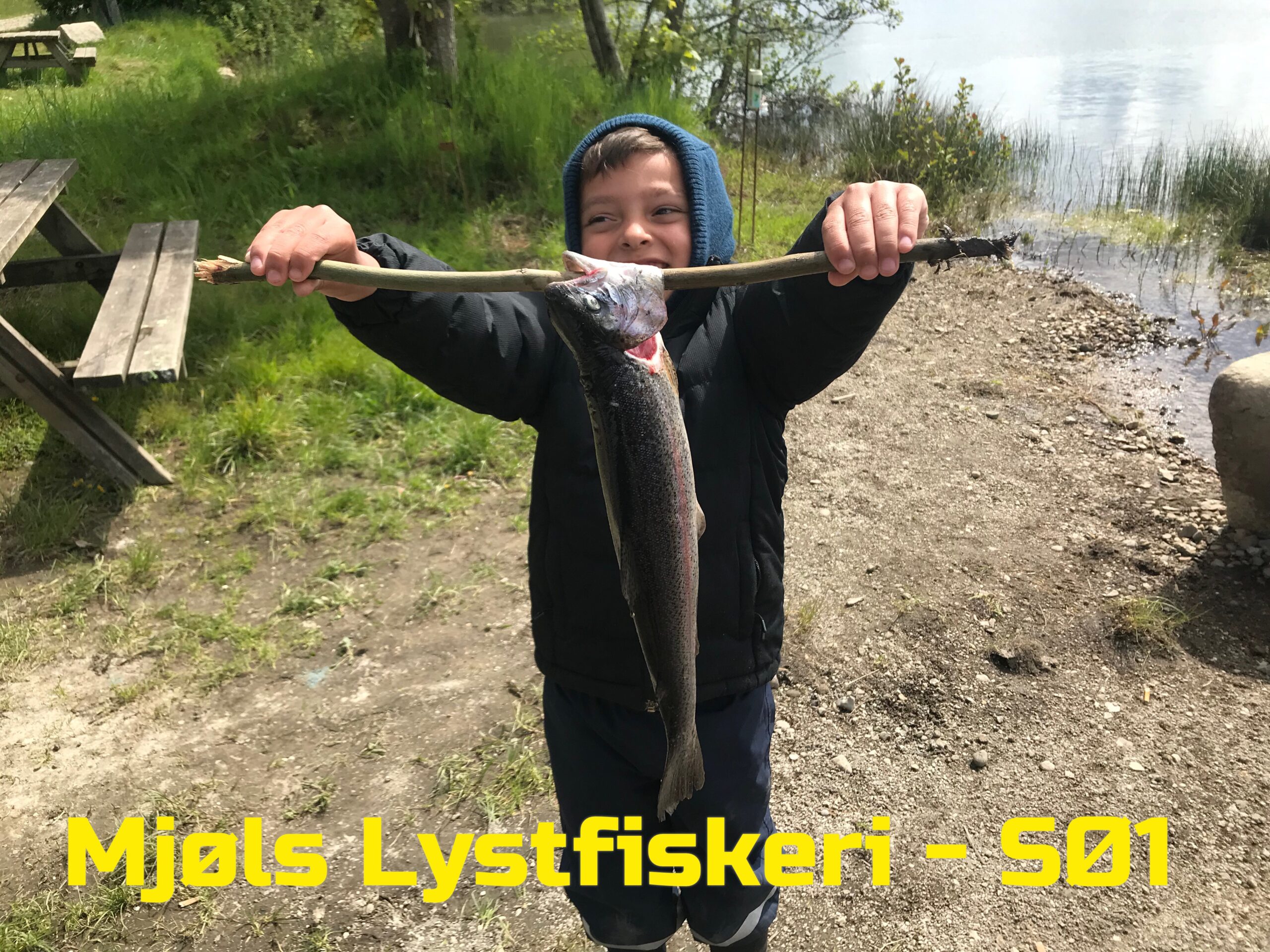 I dag, lørdag den 16. maj, hugger de på grøn PowerBait I dag, lørdag den 16. maj, hugger de på grøn PowerBait