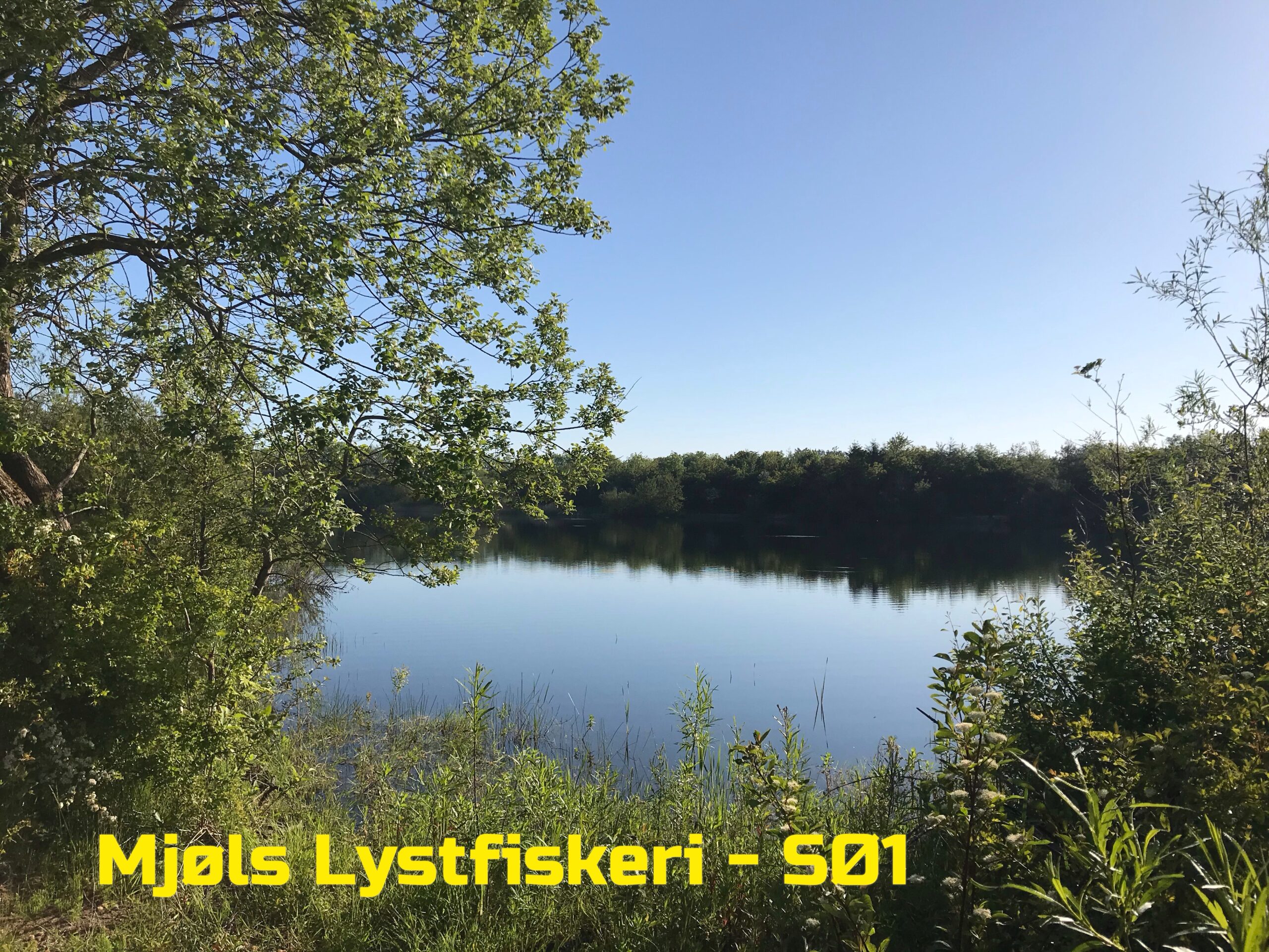 Mjøls Lystfiskeri – Pinsevejr i topklasse