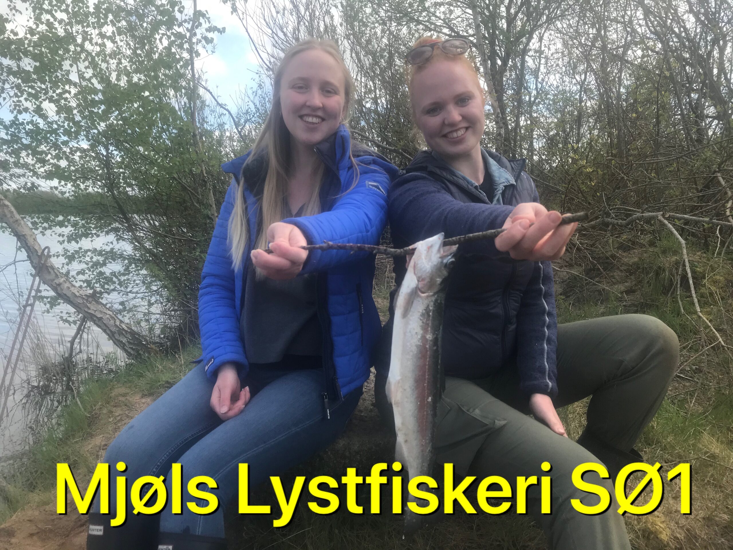 Flotte sild kan også fange regnbueørreder i Mjøls