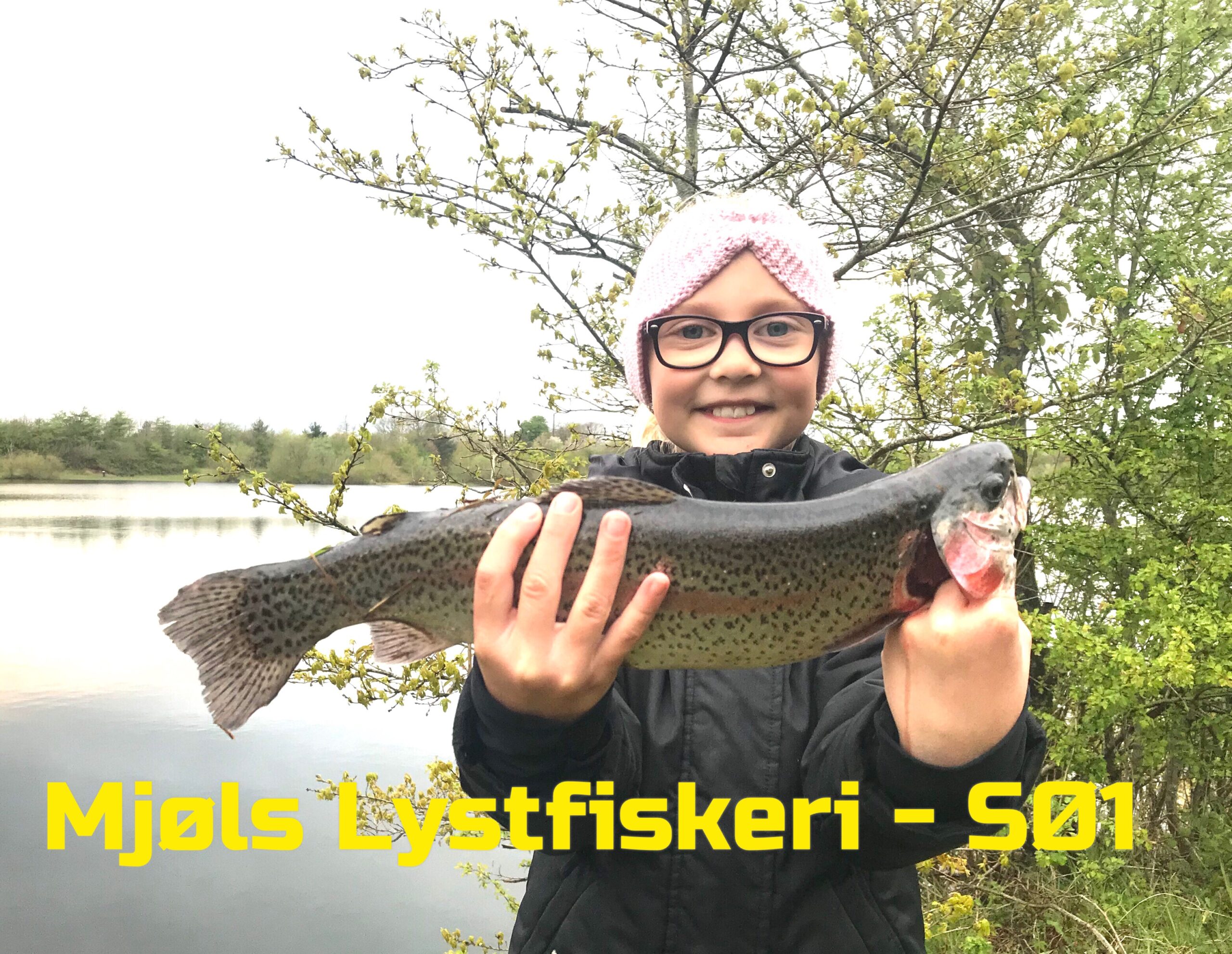 Fredag med fisk på krogen