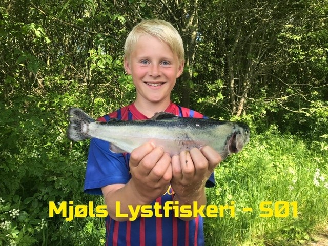 Mjøls Lystfiskeri: Vejret er fantastisk og fiskene lunefulde