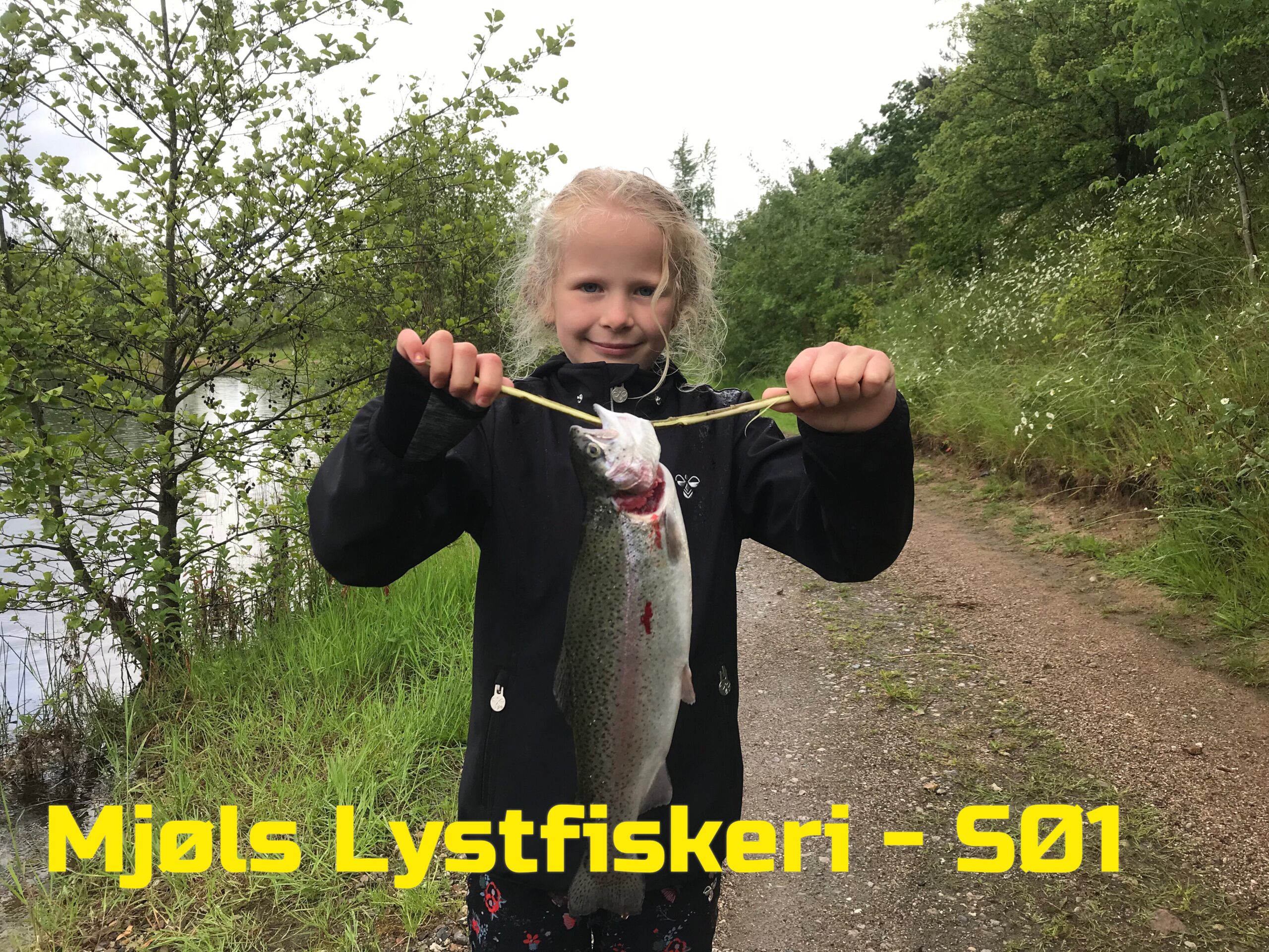 De hugger i Mjøls Lystfiskeri på Grundlovsdagen De hugger i Mjøls Lystfiskeri på Grundlovsdagen
