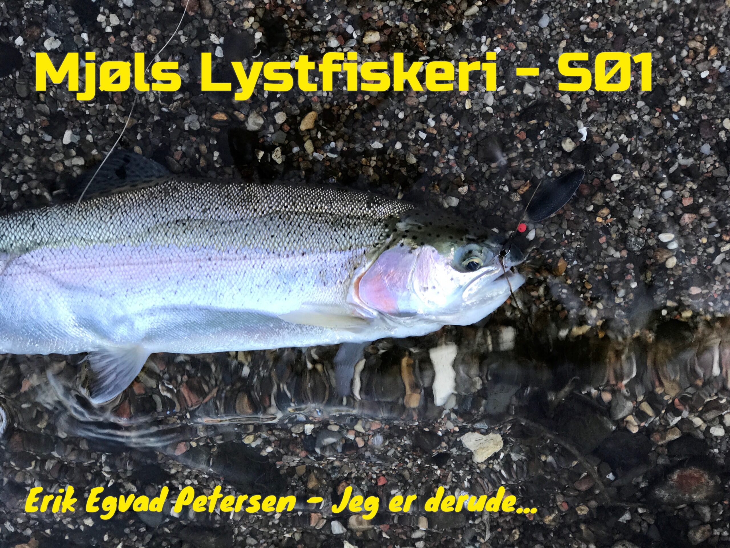 Søndagen starter godt i Mjøls Lystfiskeri SØ1 Søndagen starter godt i Mjøls Lystfiskeri SØ1