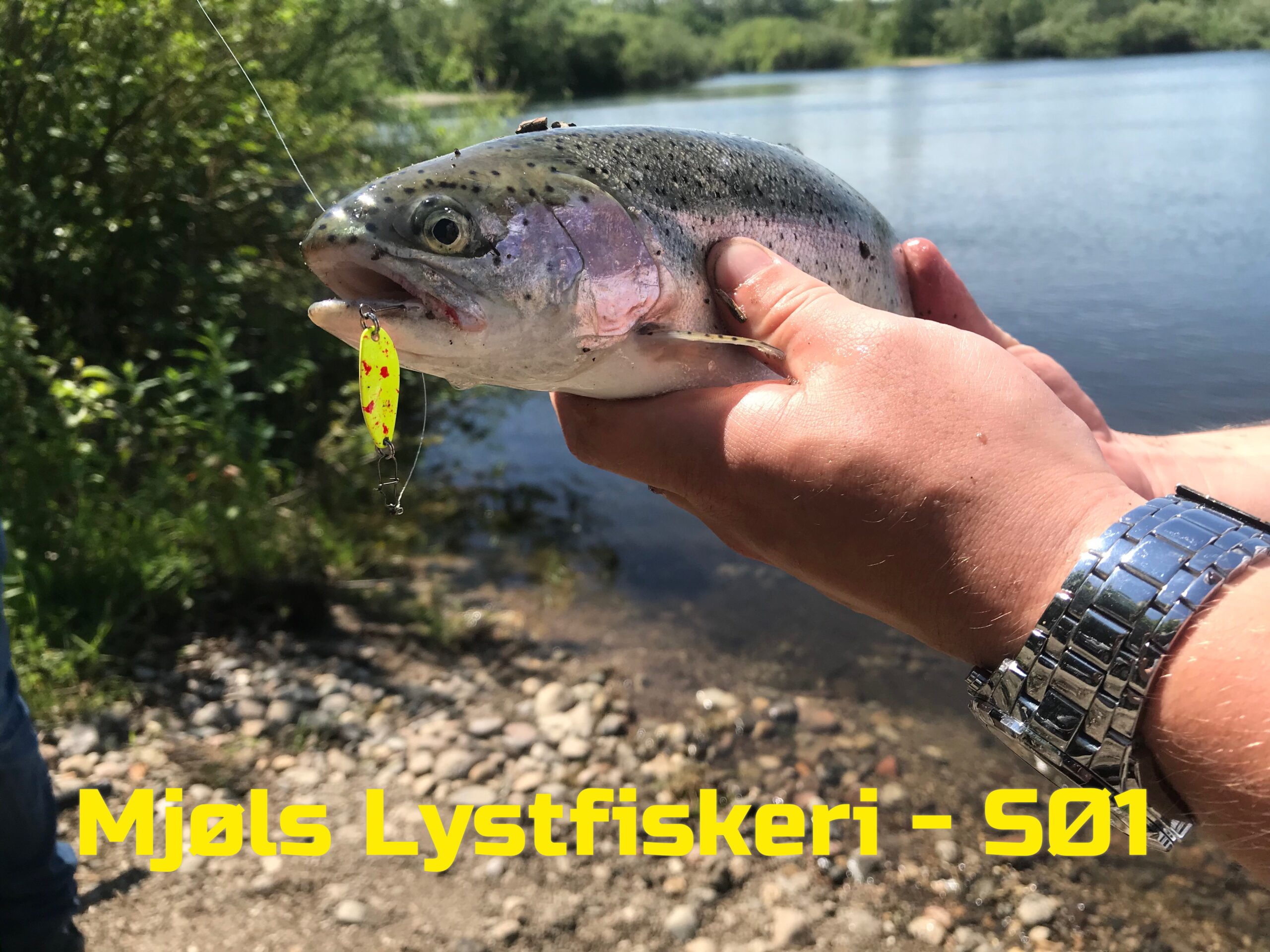 Mjøls Lystfiskeri: Små blink i krasse farver Mjøls Lystfiskeri: Små blink i krasse farver