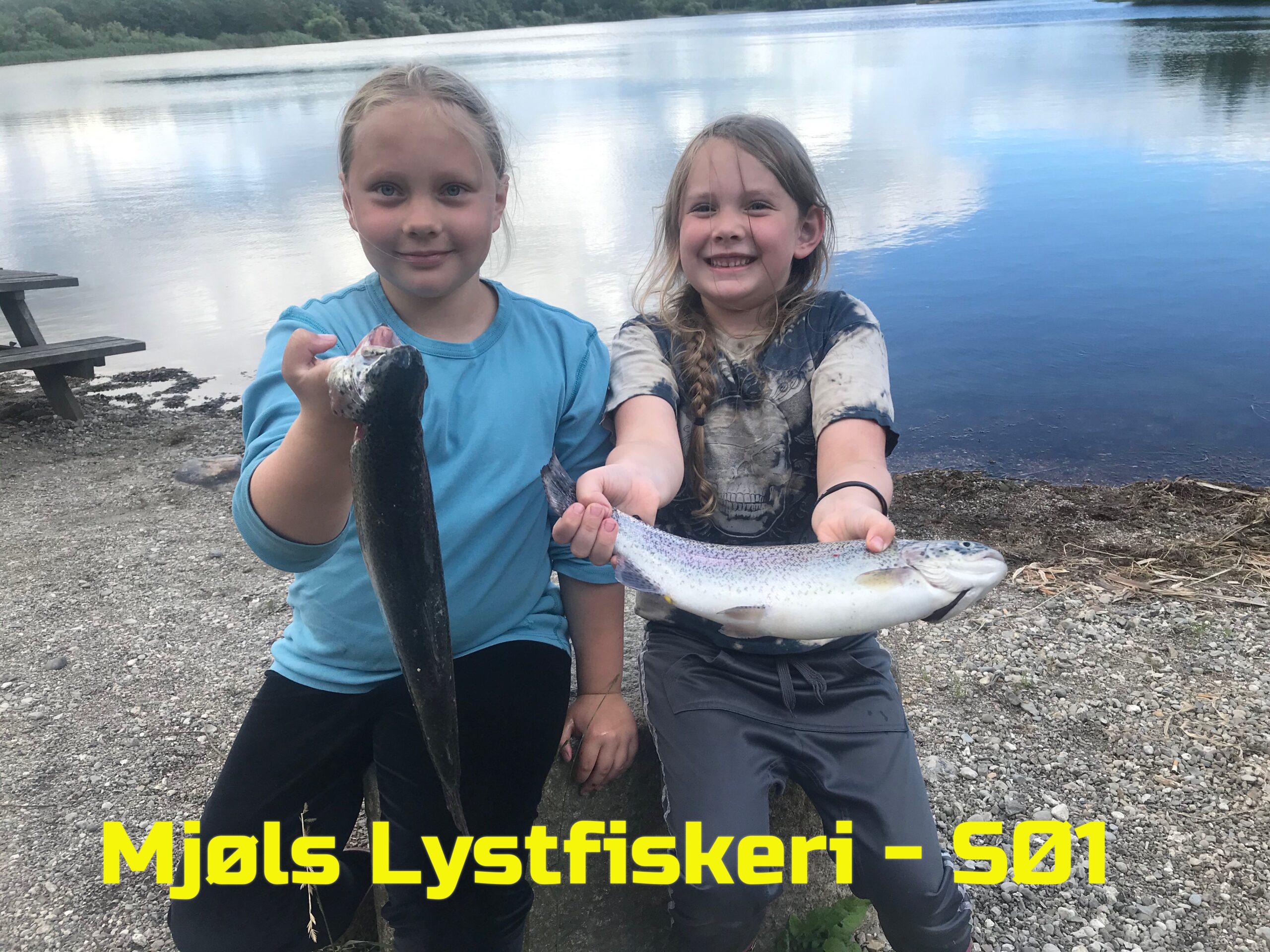 Mjøls Lystfiskeri – tip fra hjemmesiden gav fisk Mjøls Lystfiskeri – tip fra hjemmesiden gav fisk