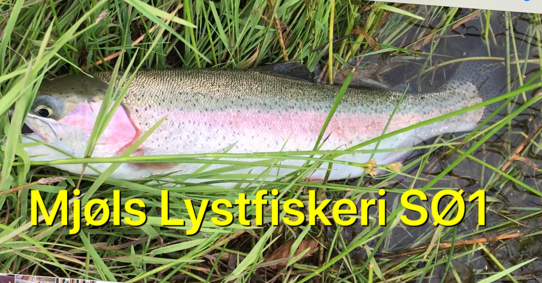 SE VIDEO – SØ1 i dag tirsdag aften – det gav hug og fisk SE VIDEO – SØ1 i dag tirsdag aften – det gav hug og fisk