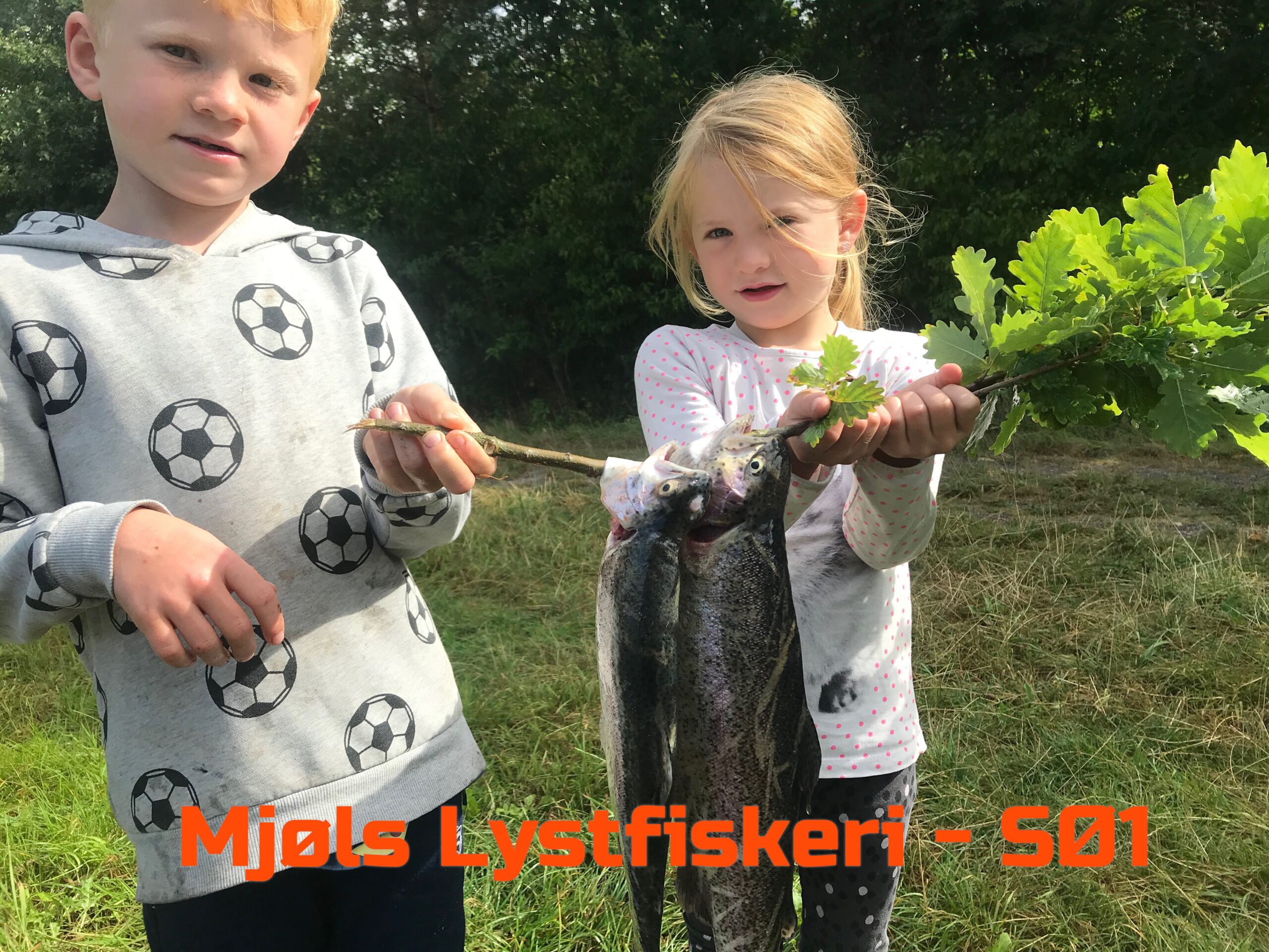 Mjøls Lystfiskeri: Unge lystfiskere med regnbueørreder Mjøls Lystfiskeri: Unge lystfiskere med regnbueørreder