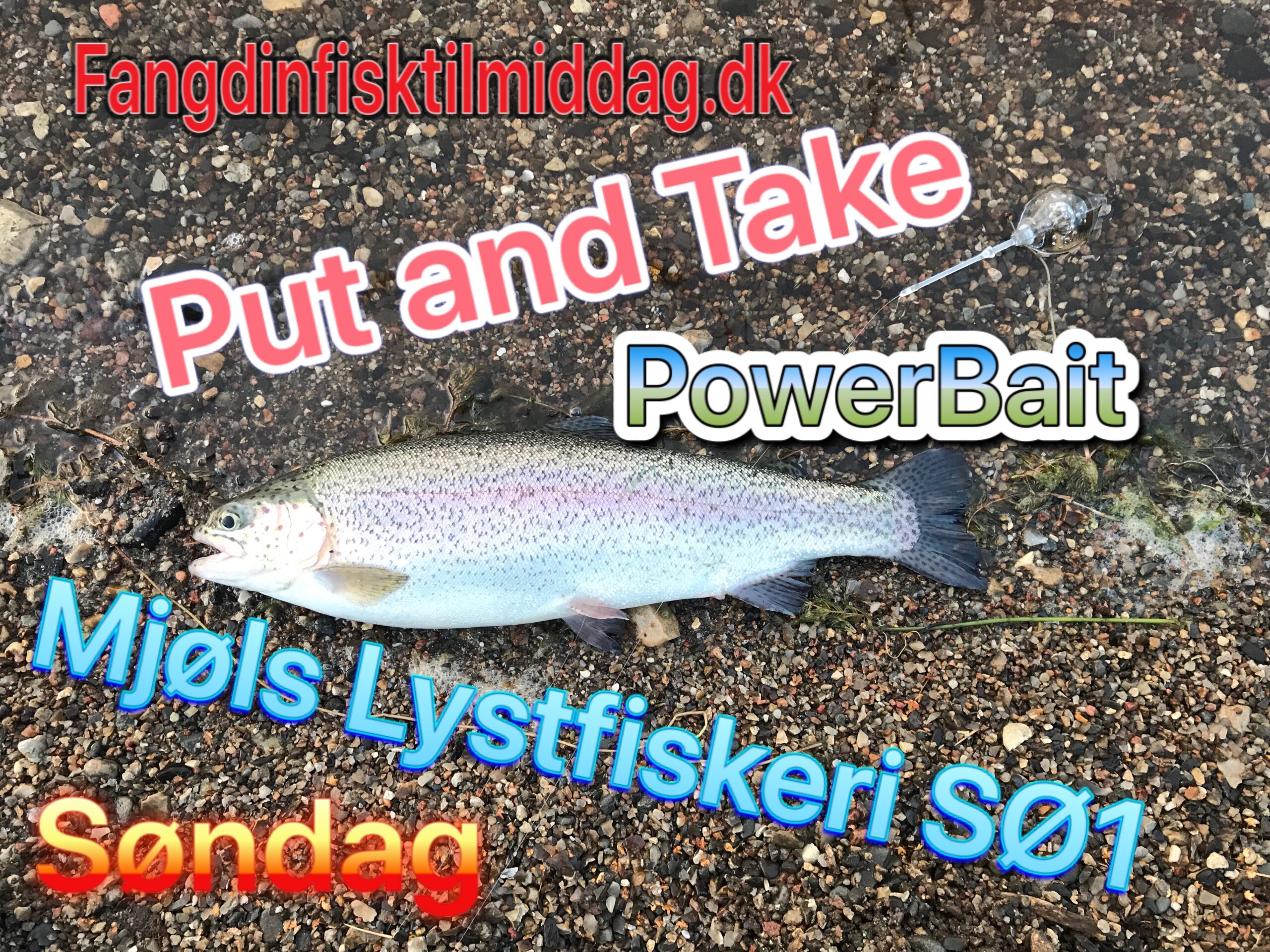SE VIDEO – Mjøls Lystfiskeri: De hugger søndag morgen SE VIDEO – Mjøls Lystfiskeri: De hugger søndag morgen