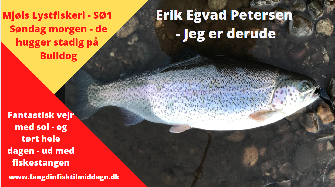 SE VIDEO – Søndag morgen i SØ1 – igen med Bulldog SE VIDEO – Søndag morgen i SØ1 – igen med Bulldog