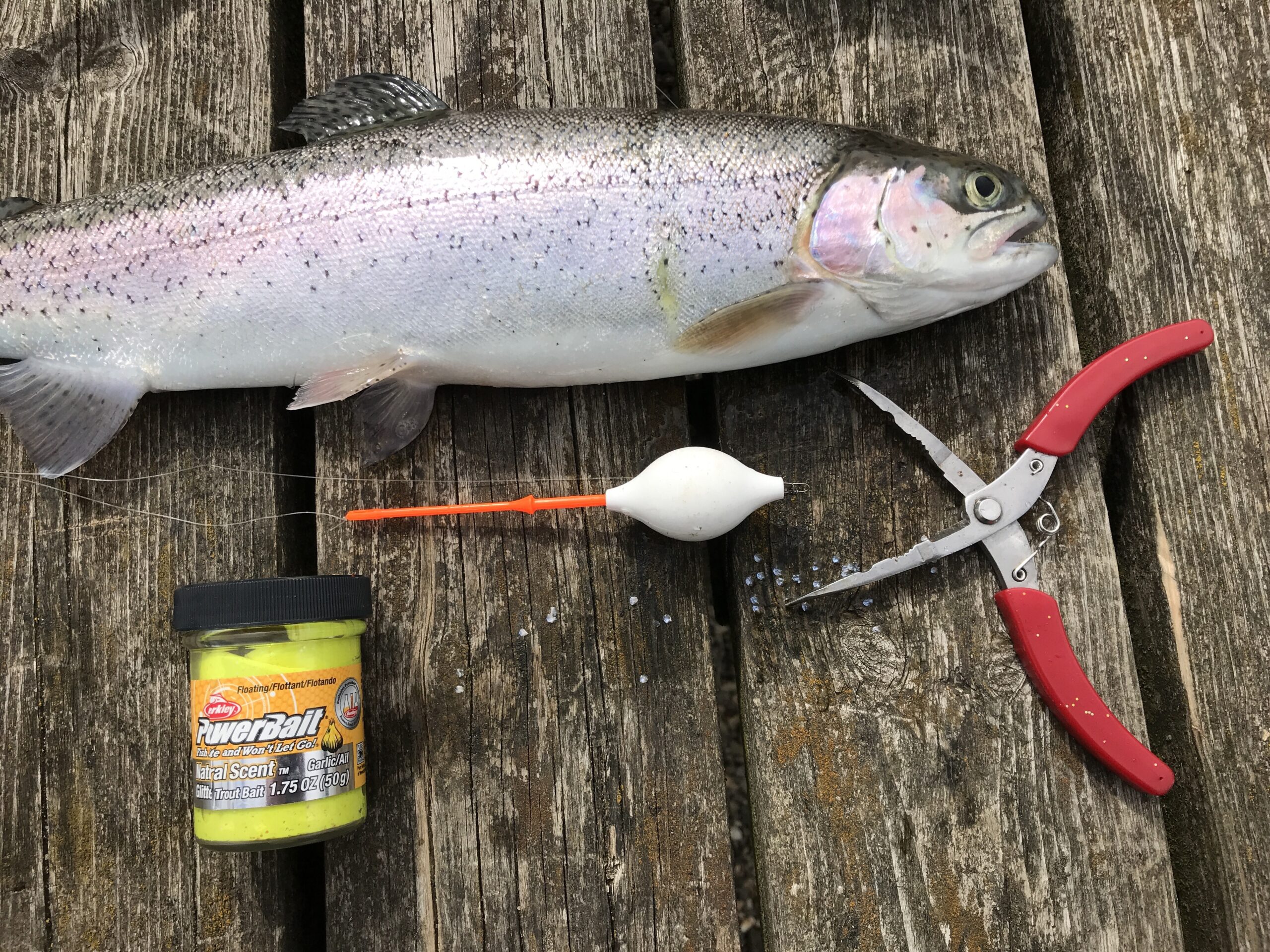 PowerBait og Bombarda giver fisk på tasken PowerBait og Bombarda giver fisk på tasken