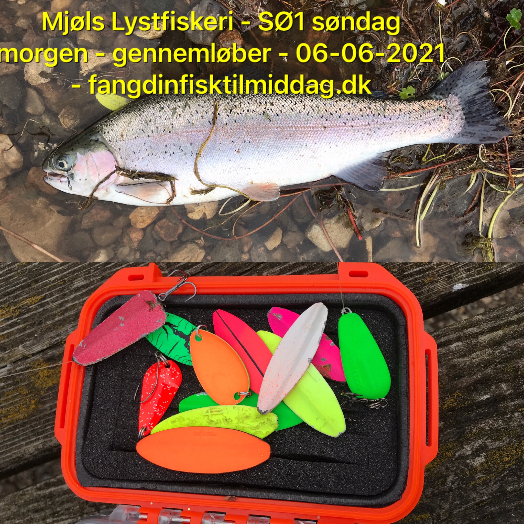 Mjøls SØ1 – søndag morgen på gennemløber Mjøls SØ1 – søndag morgen på gennemløber