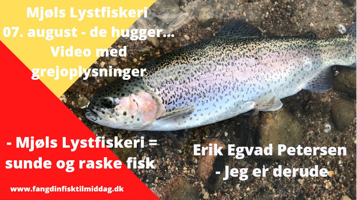 SE VIDEO – Mjøls Lystfiskeri – SØ1 – Lørdag morgen med grej-oplysninger SE VIDEO – Mjøls Lystfiskeri – SØ1 – Lørdag morgen med grej-oplysninger