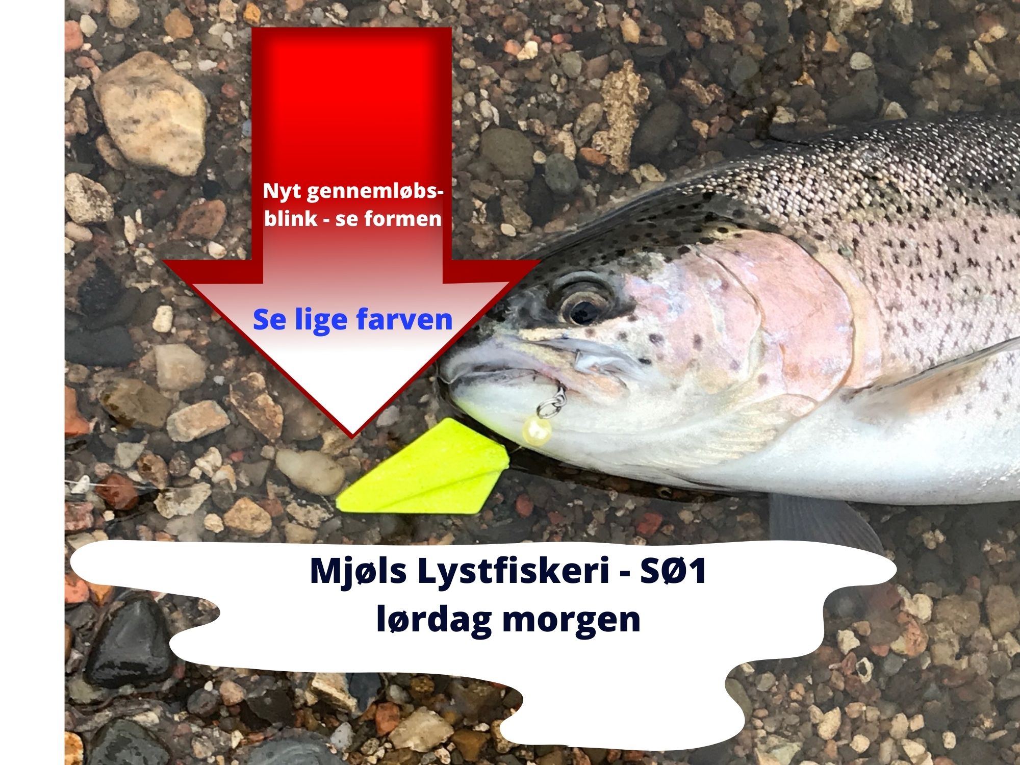 SE VIDEO – Mjøls Lystfiskeri: Test af gennemløbsblink til lave priser