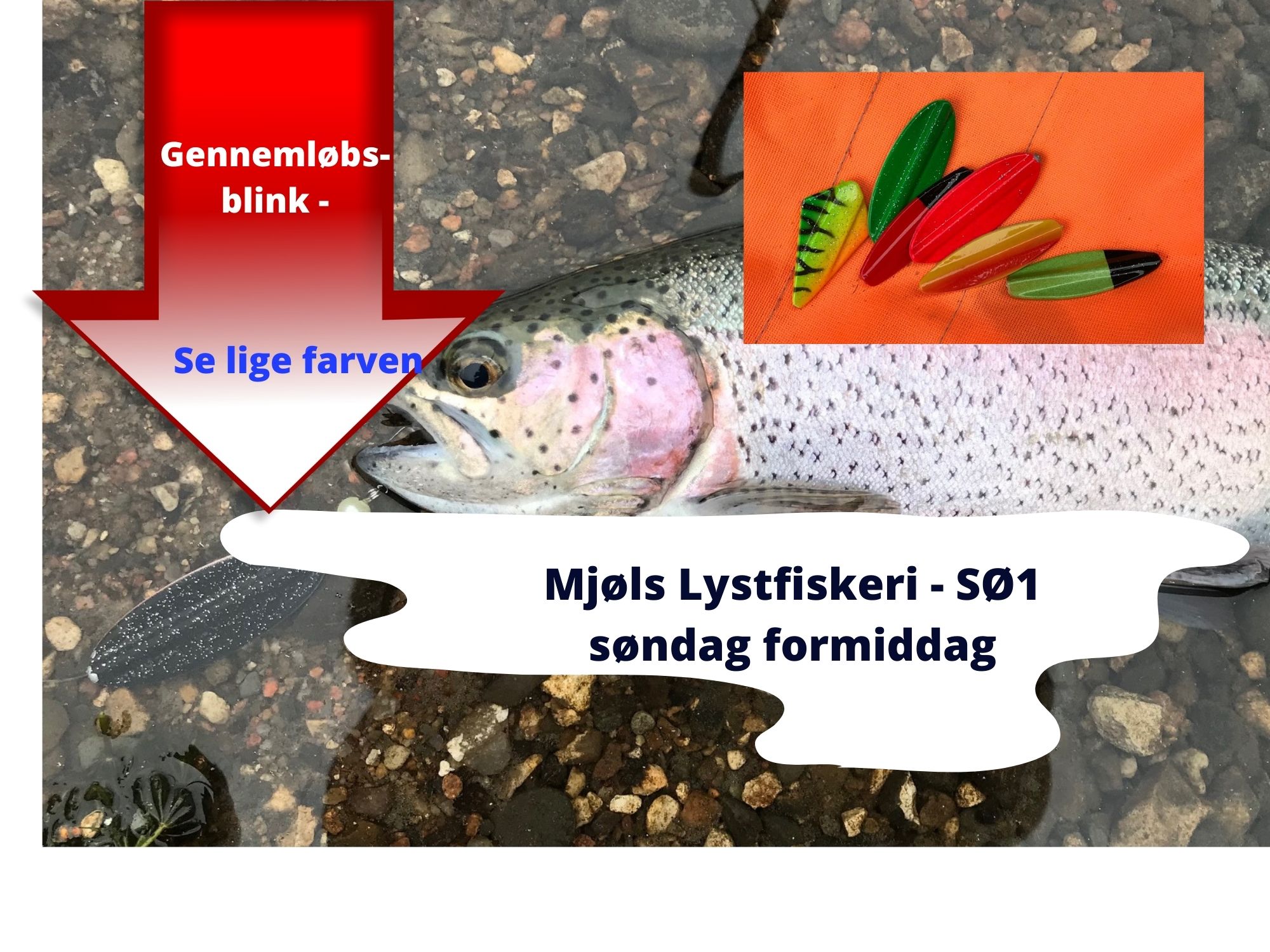 SE VIDEO – Mjøls Lystfiskeri – Søndag formiddag hugger de på gennemløber SE VIDEO – Mjøls Lystfiskeri – Søndag formiddag hugger de på gennemløber