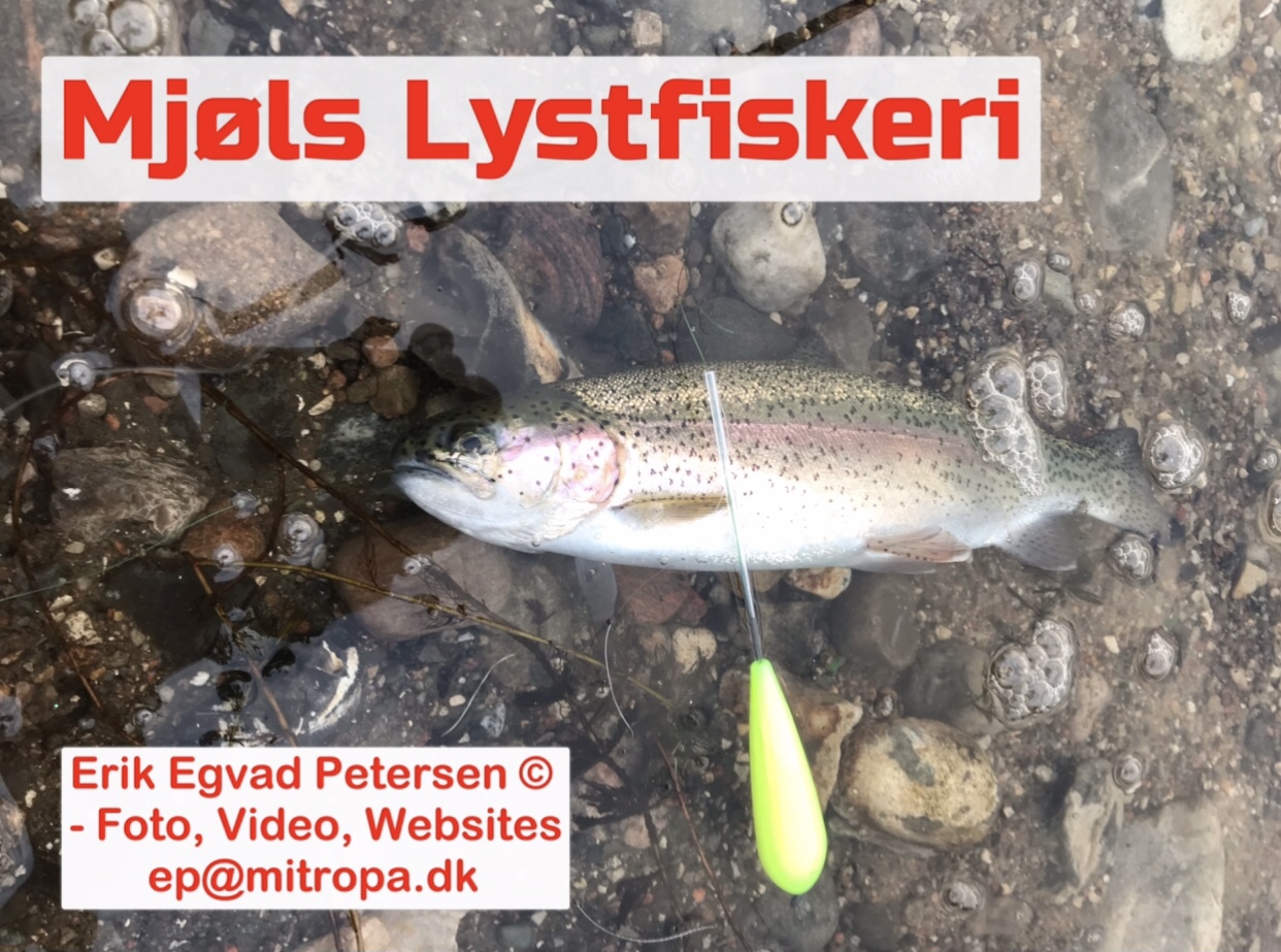 Mjøls Lystfiskeri – SØ1 – De hugger på PowerBait serveret med Bombarda-flåd