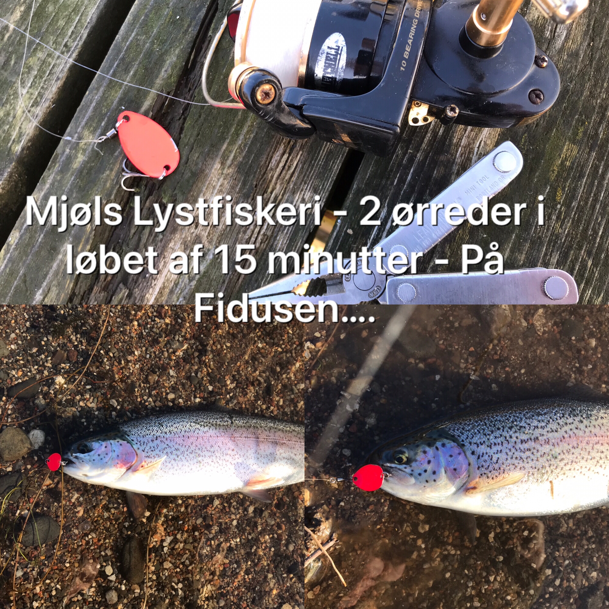 SE VIDEO – Mjøls Lystfiskeri – SØ1 fredag eftermiddag – Fidusen gav fisk