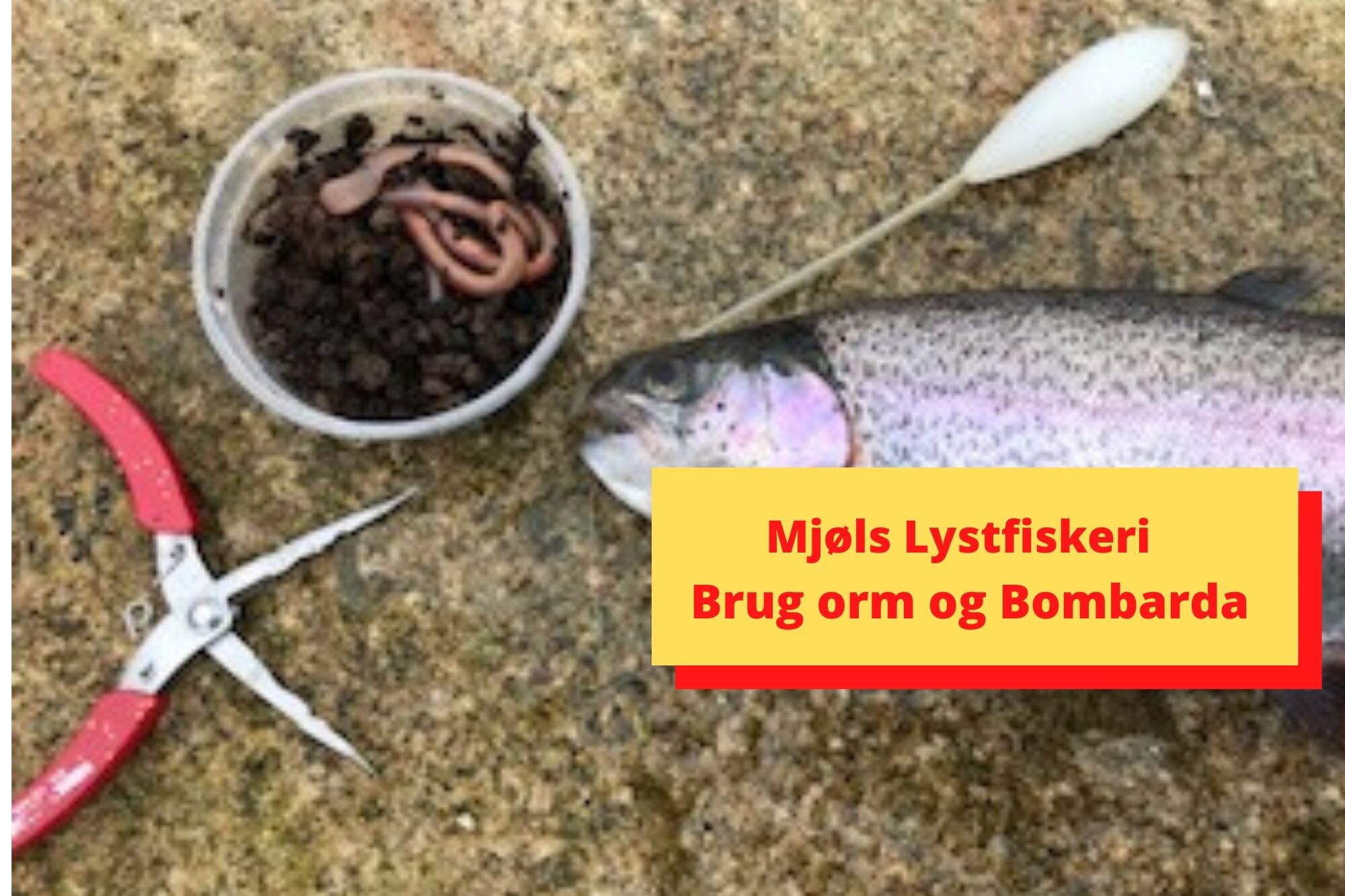 SE VIDEO – Mjøls Lystfiskeri: Orm og Bombarda = det fanger bare fisk SE VIDEO – Mjøls Lystfiskeri: Orm og Bombarda = det fanger bare fisk