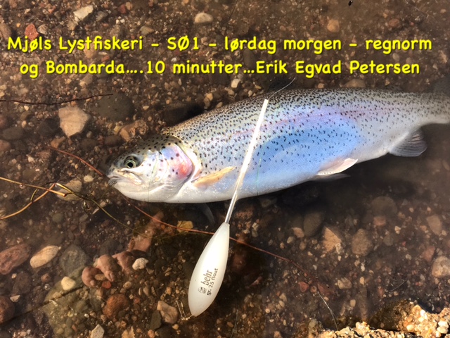 SE VIDEO – Mjøls Lystfiskeri Rødekro: Lørdag morgen den 26. februar – orm og Bombarda