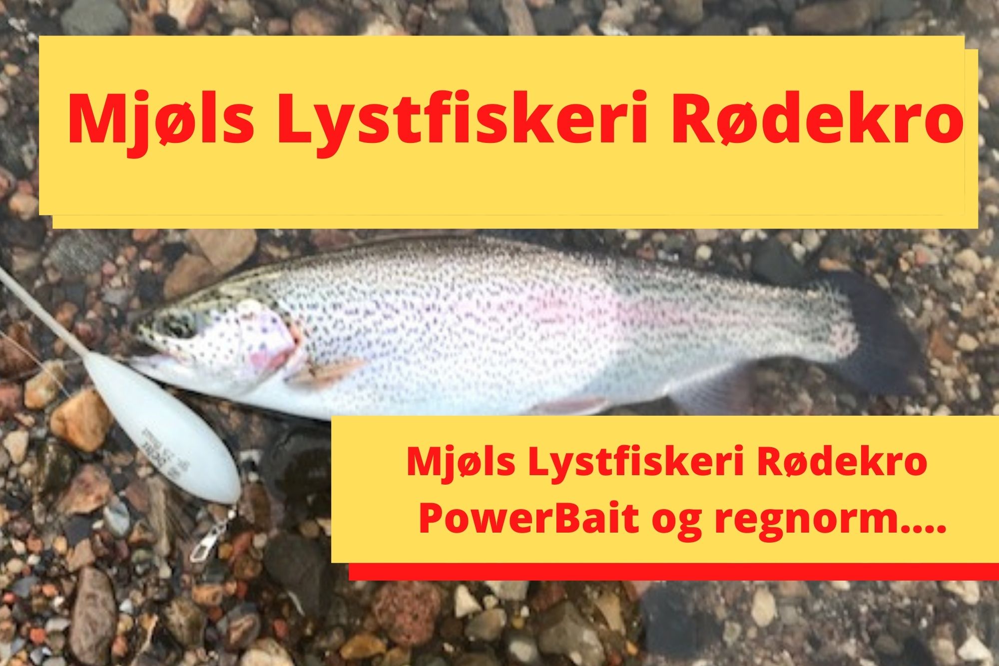 SE VIDEO: De hugger igen på regnorm – lørdag formiddag