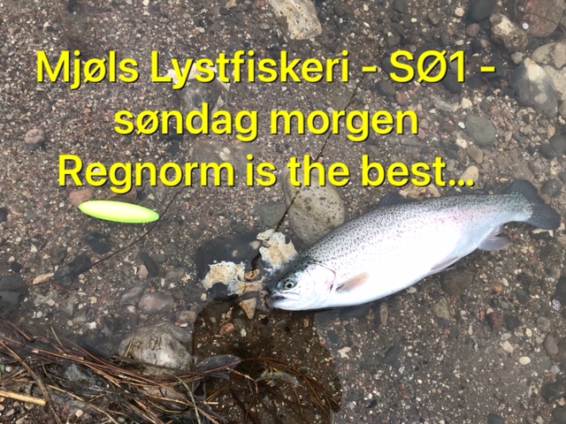 SE VIDEO – Mjøls Lystfiskeri – SØ1 – søndag morgen 6. marts – regnorm er bedst…