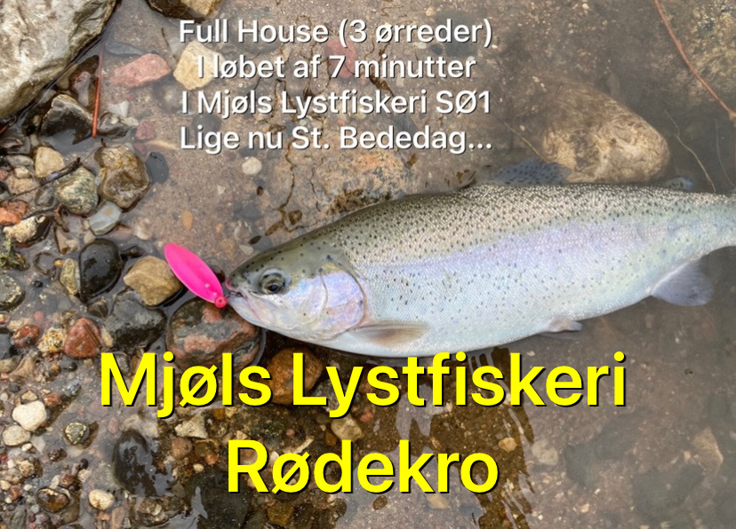 SE VIDEO – Mjøls Lystfiskeri – SØ1 – Og de hugger helt vildt her på St. Bededag