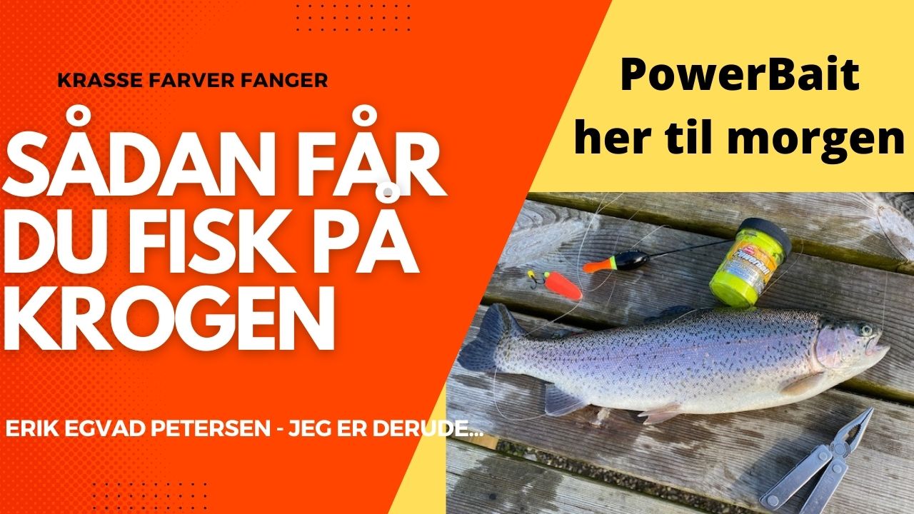 SE VIDEO – Mjøls Lystfiskeri Rødekro – Her til morgen var det igen Powerbait, der fangede fisk