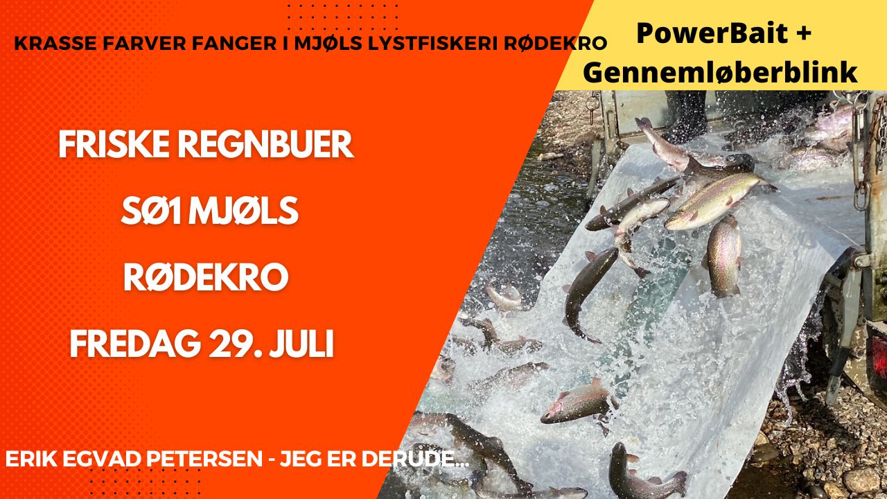 SE VIDEO – Mjøls Lystfiskeri – SØ1 – friske regnbueørreder udsat i dag fredag den 29.07.2022