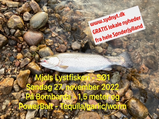 SE VIDEO – Mjøls Lystfiskeri – SØ1 – søndag den 27. november 2022 – De huggede på PowerBait