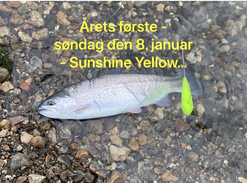 SE VIDEO – Mjøls Lystfiskeri SØ1 – De hugger – søndag den 8. januar 2023