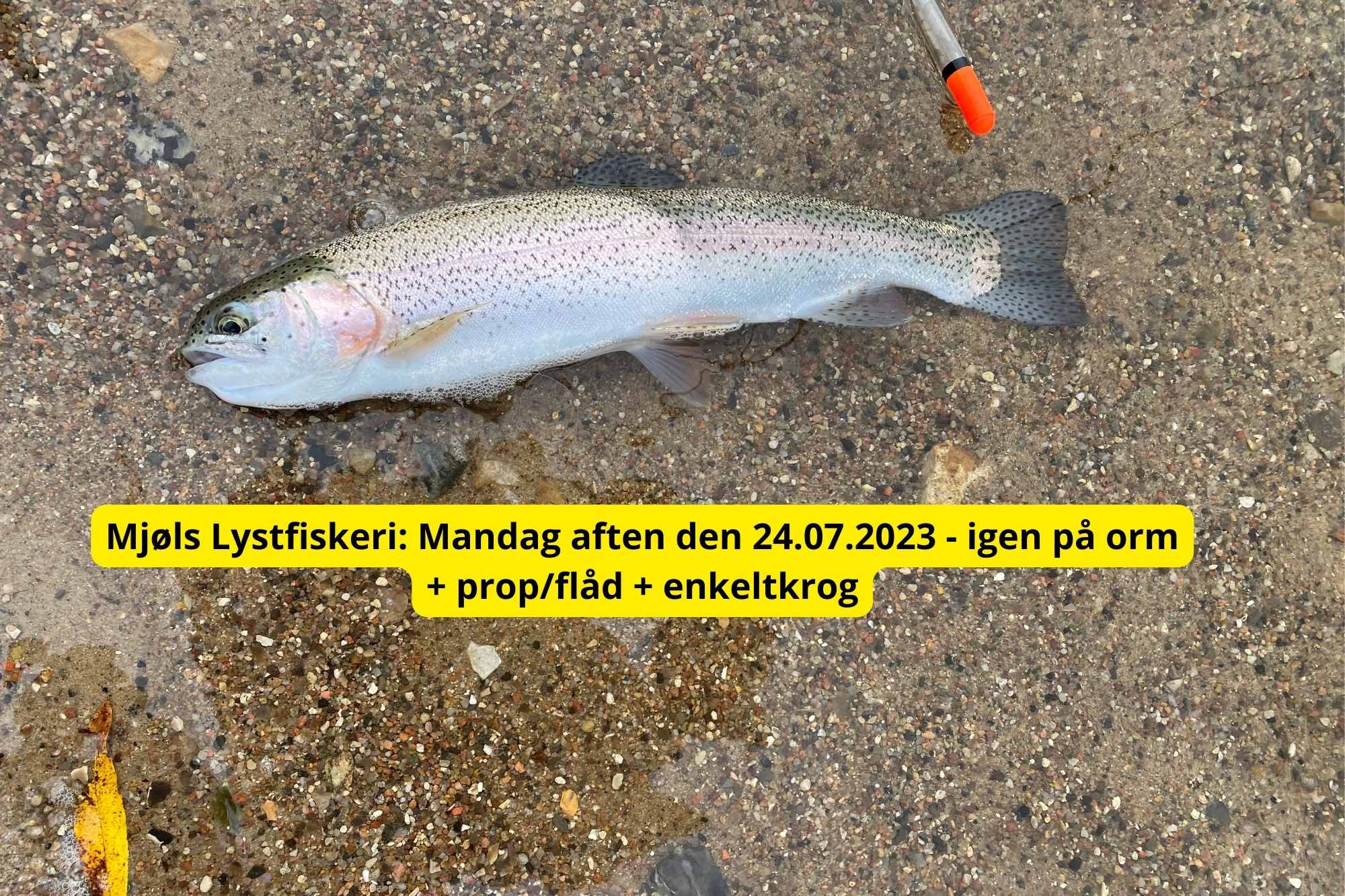 SE VIDEO – Mjøls Lystfiskeri Rødekro: – De hugger igen på orm