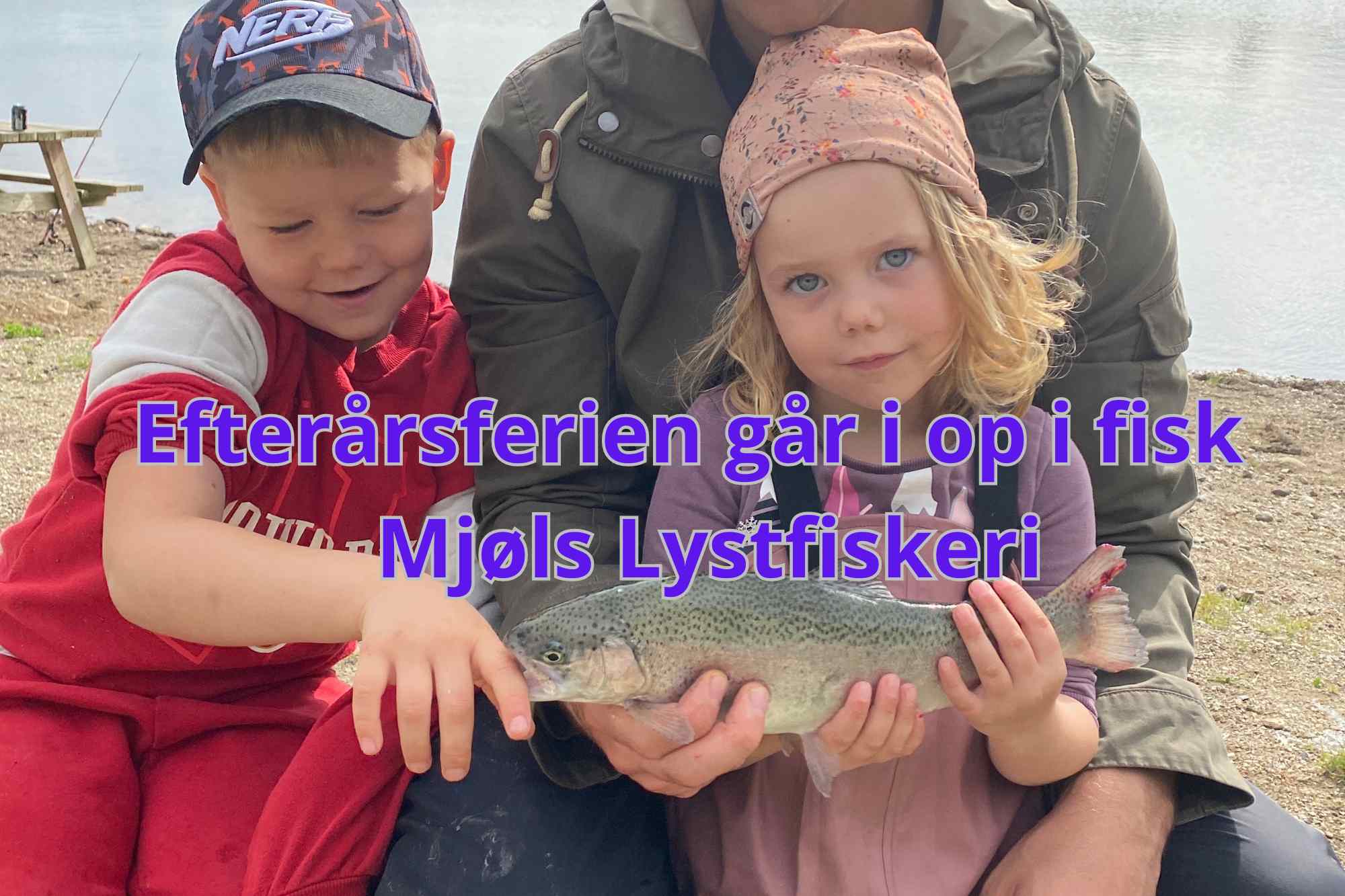 SE VIDEO – Friske regnbueørreder i Mjøls Lystfiskeri i dag torsdag den 12. oktober 2023