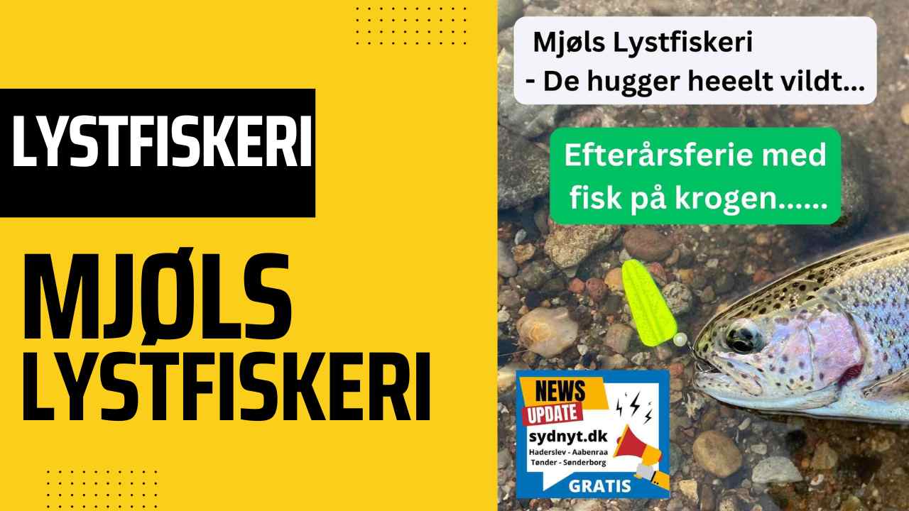 SE VIDEO – Mjøls Lystfiskeri – Søndag morgen den 15. oktober 2023.