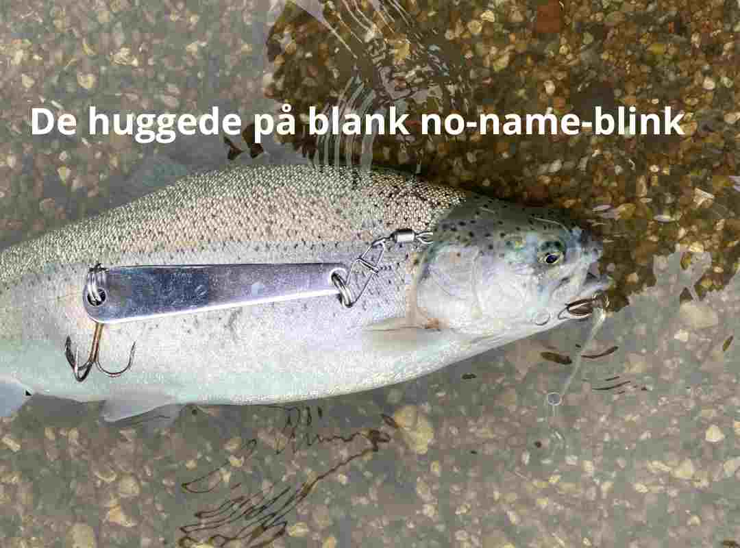 Mjøls Lystfiskeri: De huggede på blank no-name-blink lørdag eftermiddag