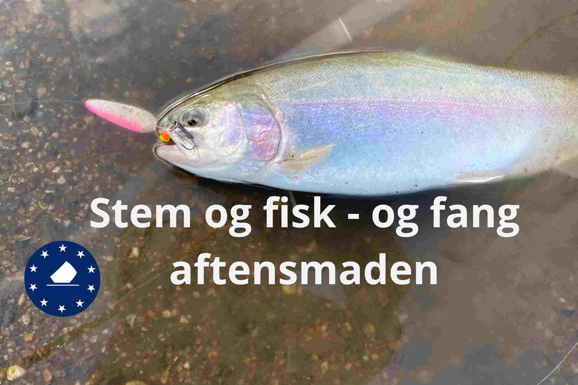 SE VIDEO – EU-valg i dag – Stem først og tag så en tur i Mjøls Lystfiskeri og fang aftensmaden