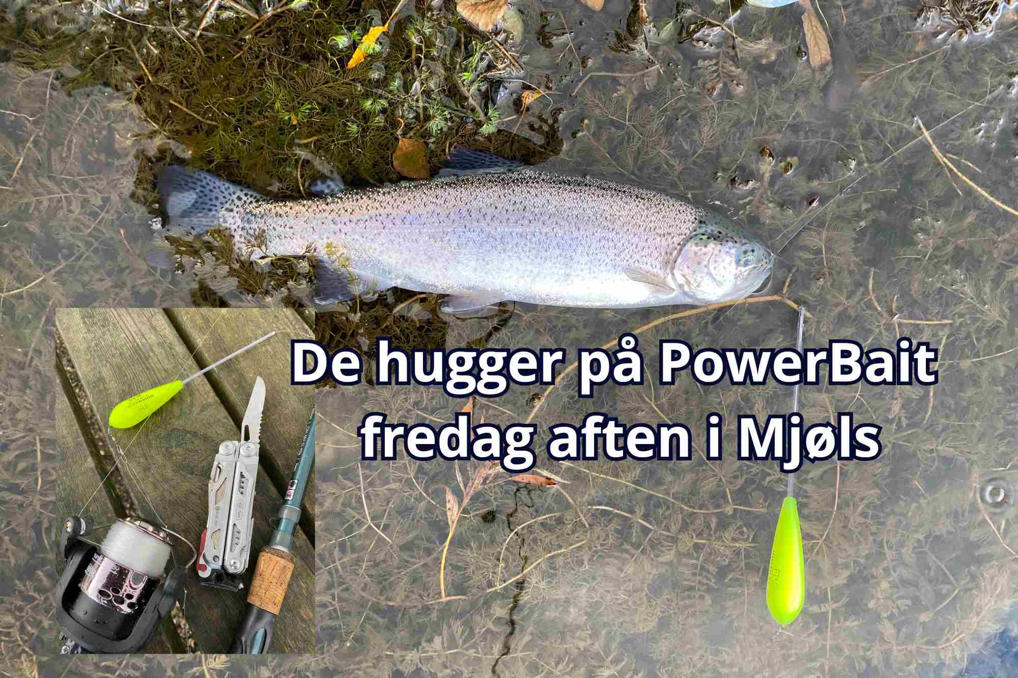 Fredag aften huggede de på PowerBait – Sunshine Yellow m/hvidløg