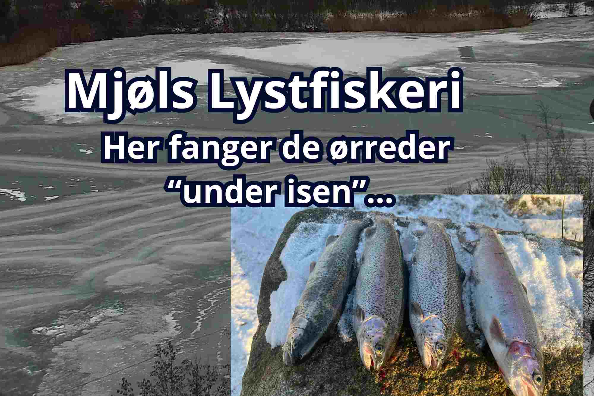 Mjøls Lystfiskeri Rødekro – Her fanger de fisk UNDER isen uden at GÅ på isen Mjøls Lystfiskeri Rødekro – Her fanger de fisk UNDER isen uden at GÅ på isen