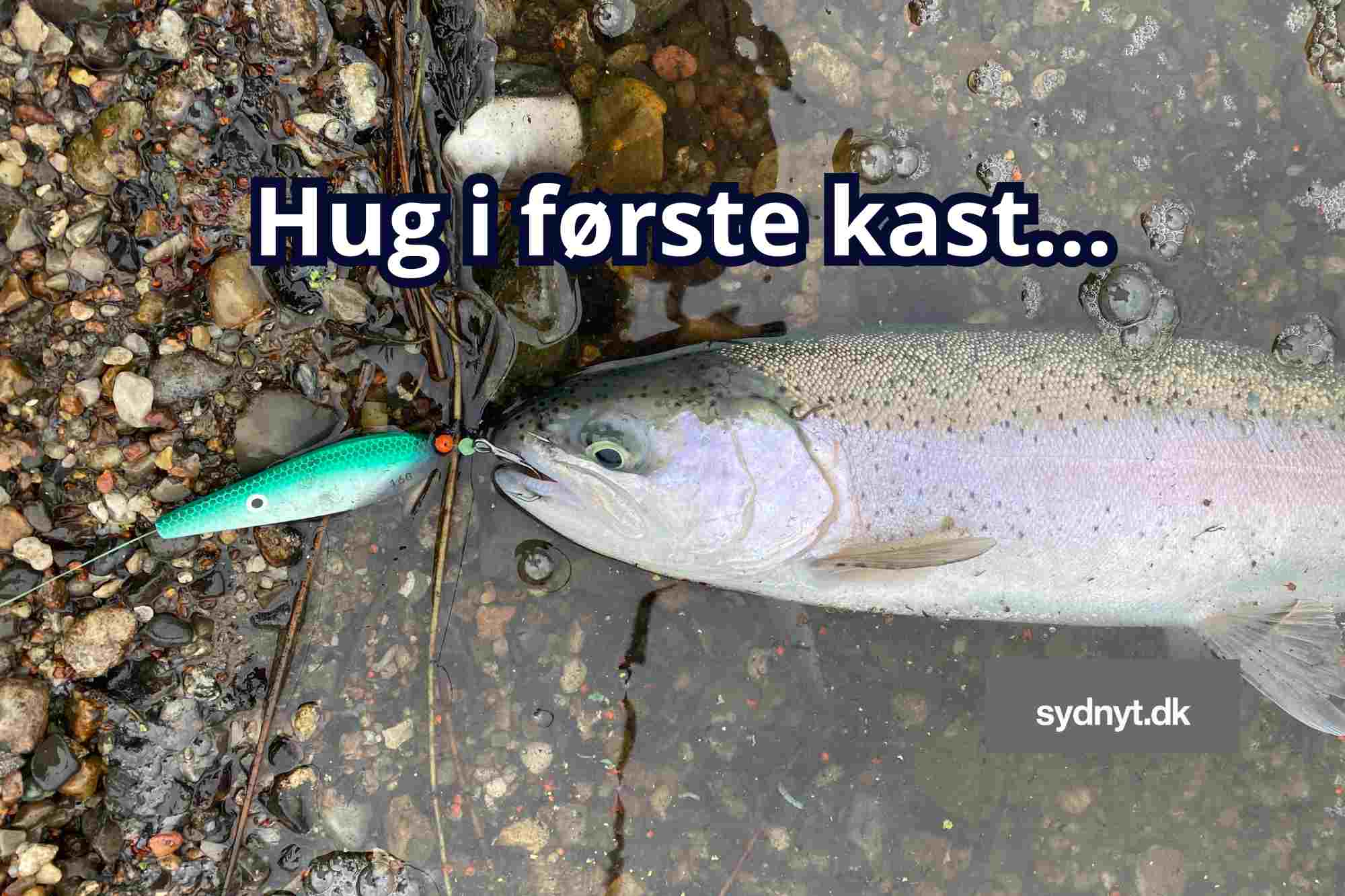 SE VIDEO – Så hugger de igen i Mjøls Lystfiskeri – 85% isfri lørdag den 28. februar 2026 SE VIDEO – Så hugger de igen i Mjøls Lystfiskeri – 85% isfri lørdag den 28. februar 2026