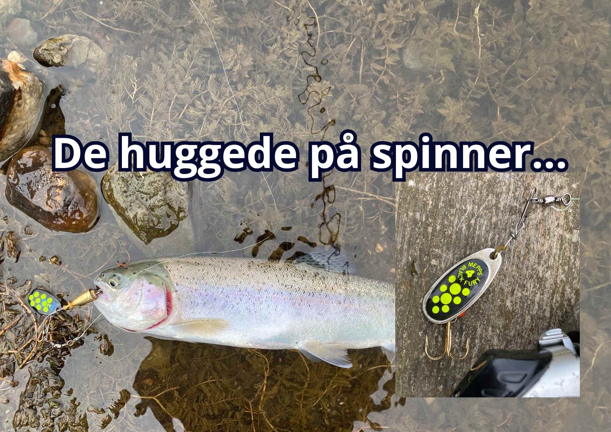 SE VIDEO – Mjøls Lystfiskeri fredag sidst på eftermiddagen den 31. juli 2026 – De huggede på spinner…