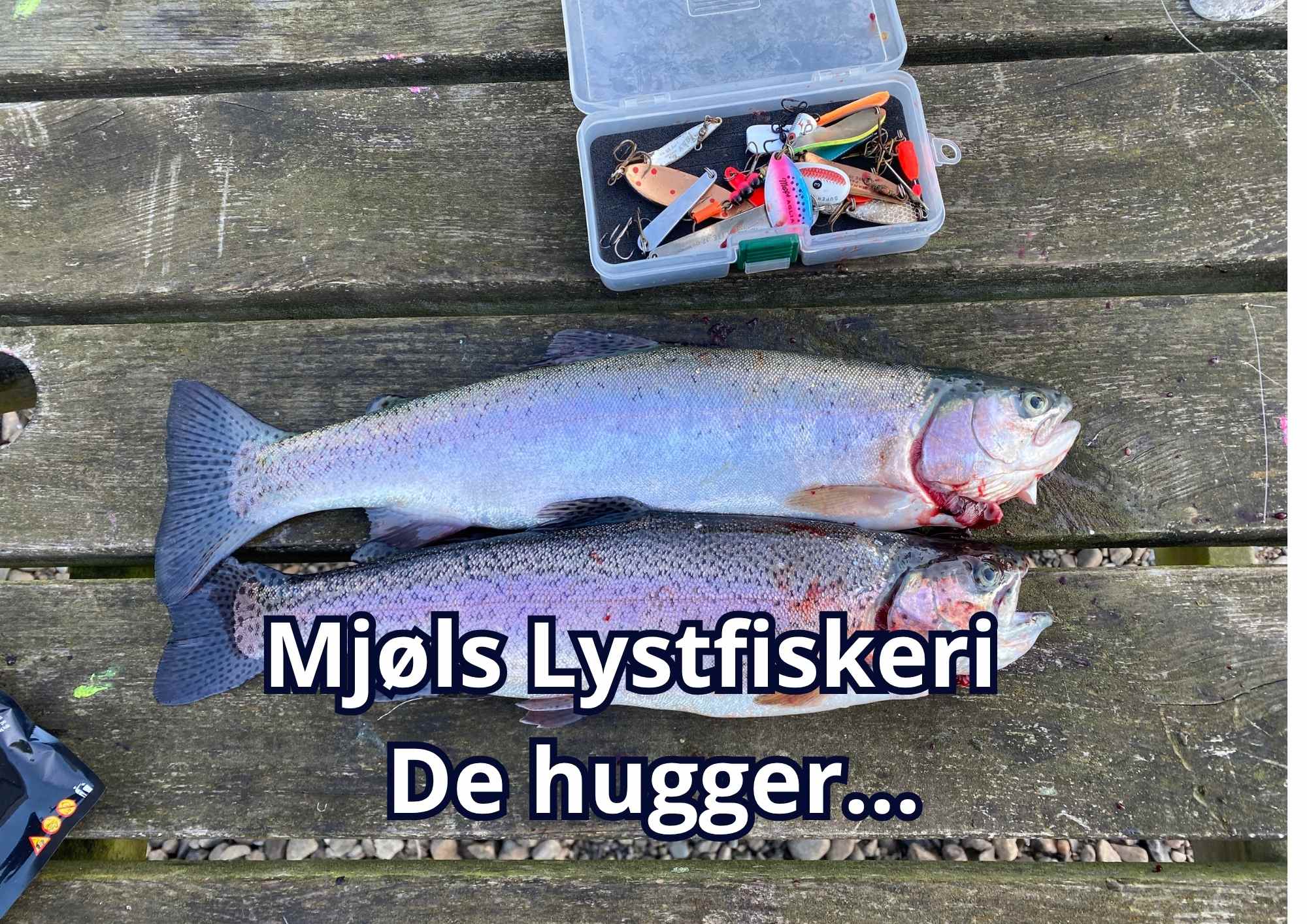 Mjøls Lystfiskeri – Selvfølgelig kan du fange fisk på en 30 år gammel spinner – Bare krogen er skarp…..